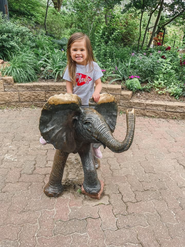 kids elephants zoo
